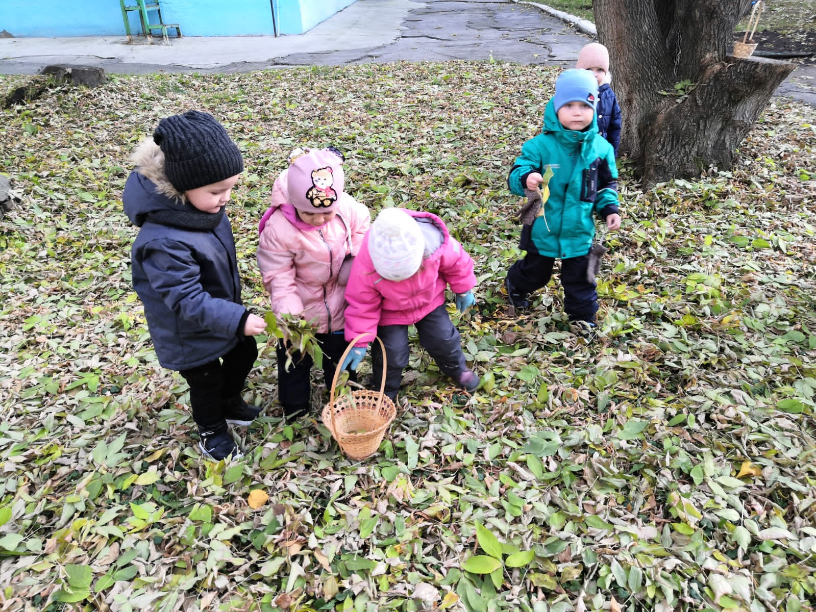 Прогулка в осеннем парке | Интерактивное образование