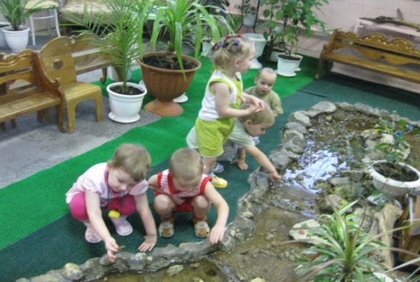 Экология В Детском Саду Фото